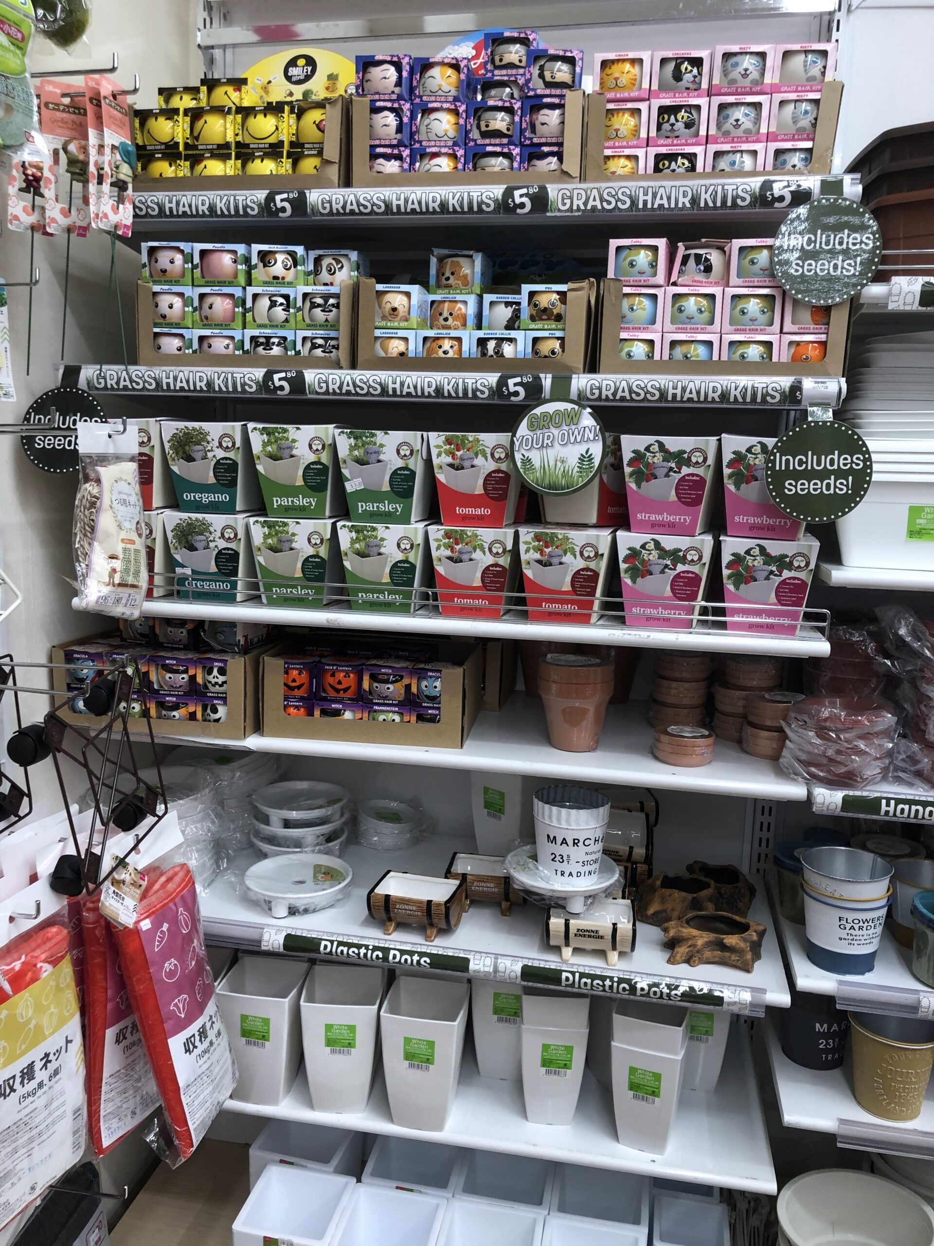 Daiso Japan Bondi Junction BizTradeOZ